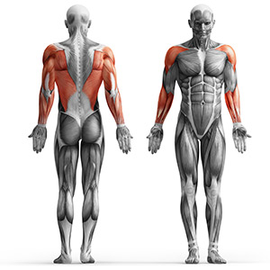 Drążek długi do wyciągu MH-C001 - Marbo Sport