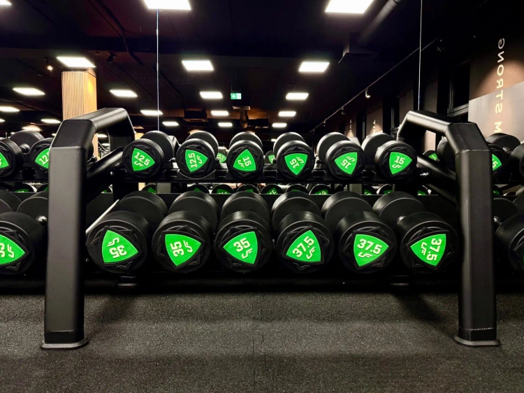 Állvány súlyzók (5 pár) UR-S003-1 - UpForm