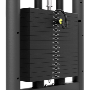 Húzódzkodó és Dip Station Dip Chin Assist UF-009 - UpForm