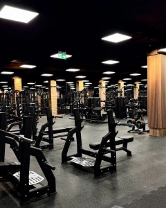 Olympia fekvenyomás lapos UR-L002 - UpForm